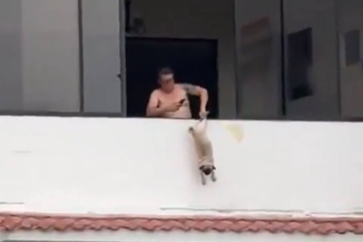 Ex-jogador é preso após pendurar cachorro pela pata em janela