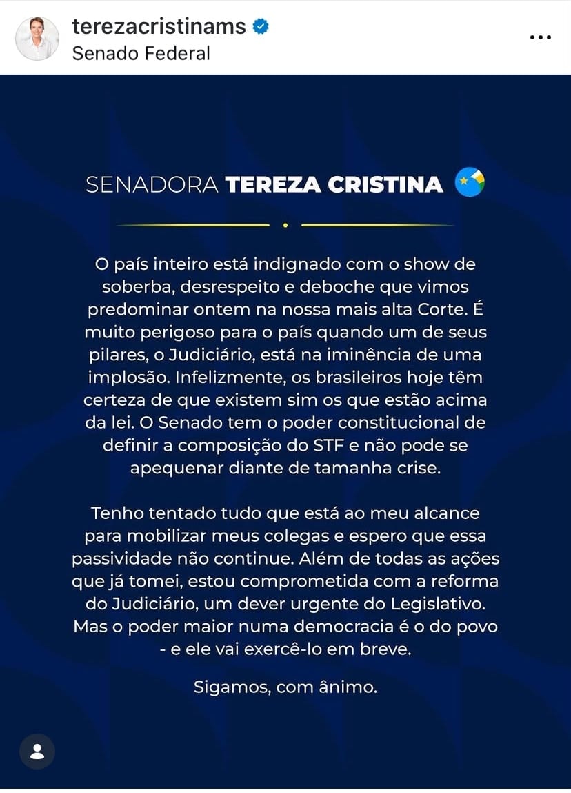 Tereza Cristina diz que STF está “na iminência de uma implosão”