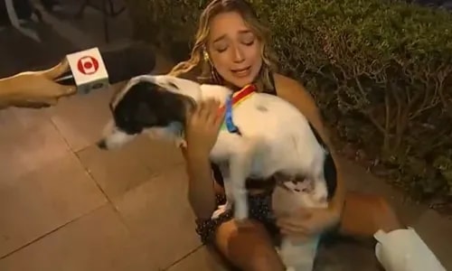 BBB 26: Samira vai aos prantos em reencontro com Lindolfo