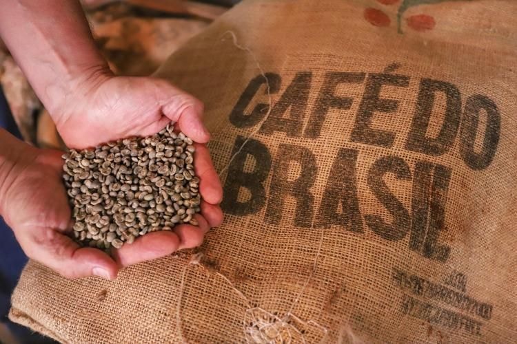 Cafés especiais brasileiros podem render US$ 5,6 milhões no Chile