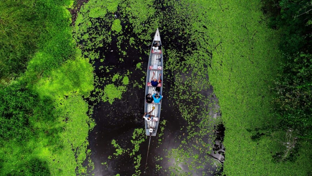 Férias no Norte? Sete roteiros para desbravar a Amazônia em família