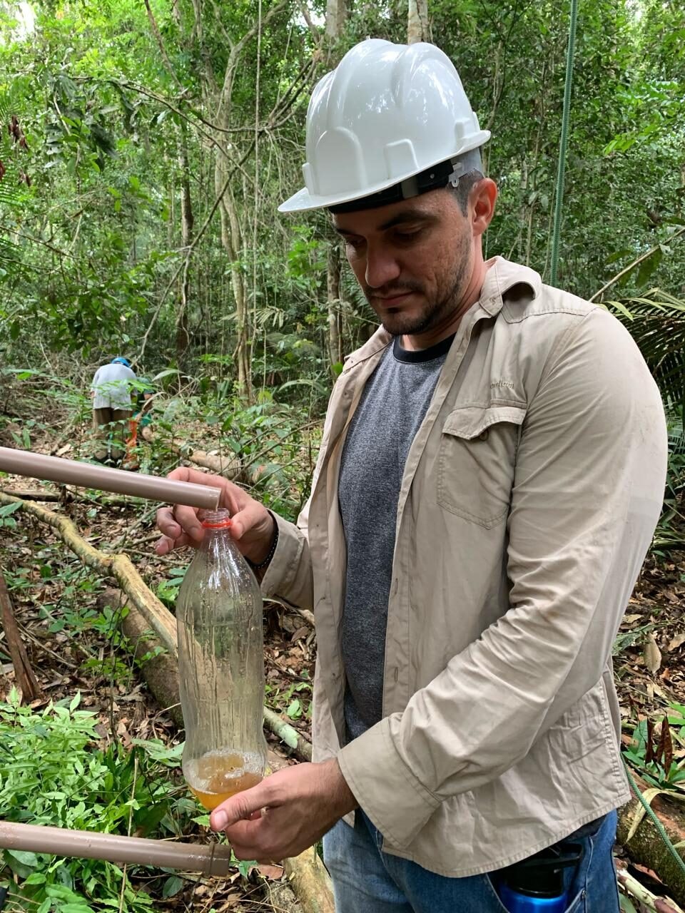 Pesquisa aponta baixa toxicidade da oleorresina de copaíba da Amazônia