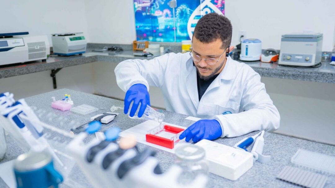 Pesquisa desenvolve teste rápido para identificar nematóides em lavouras de soja