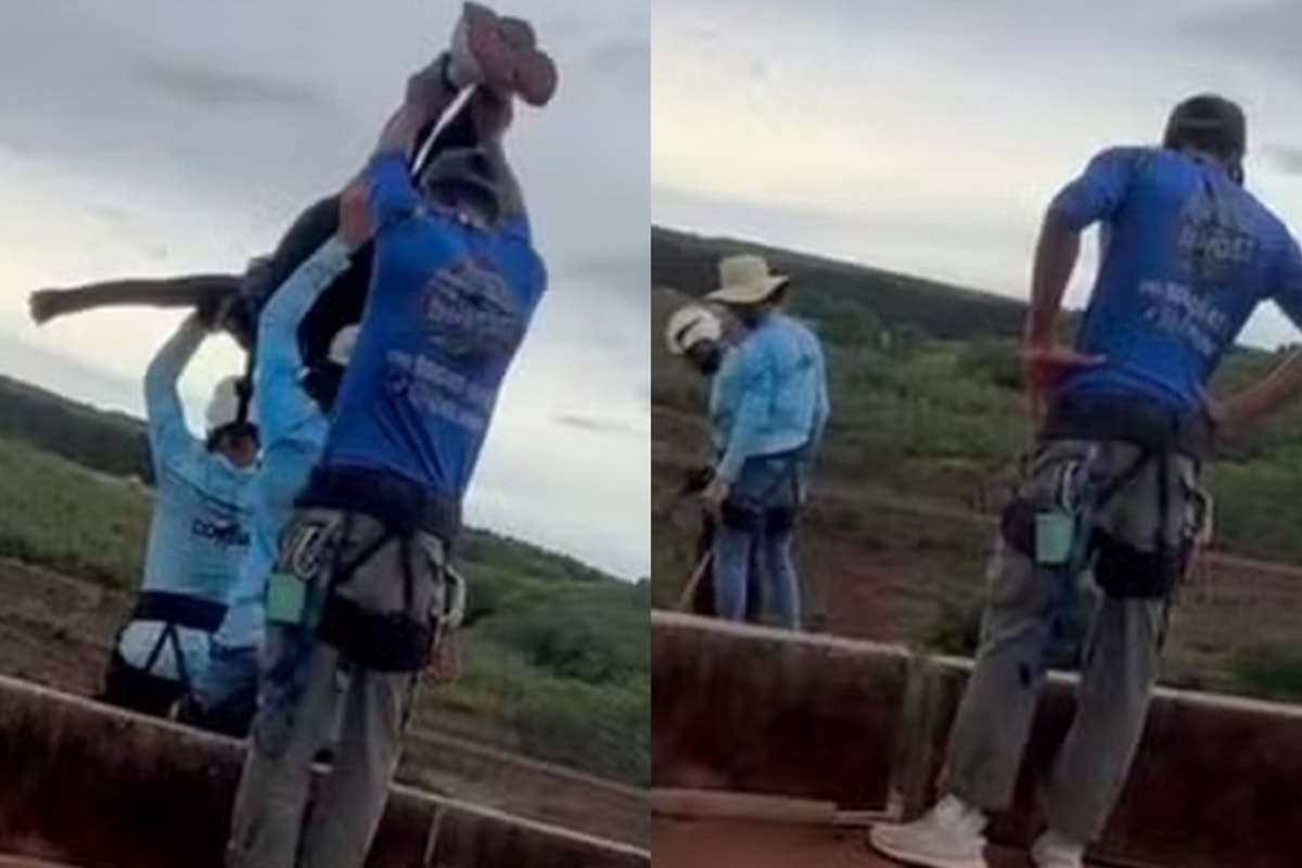 Enfermeira revela primeiros socorros prestados após salto fatal em SP