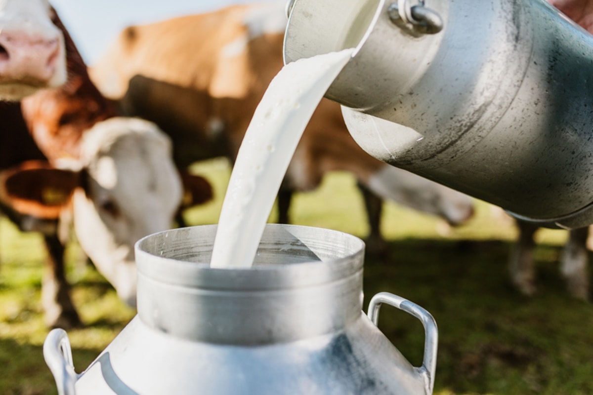 Governo Lula libera R$ 909 milhões para leite e reforma agrária
