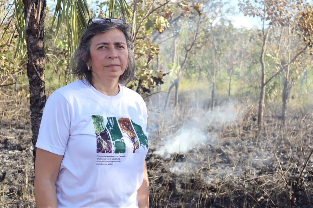 “El Niño não coloca fogo na vegetação; no Brasil, a ignição é humana”, declara diretora de Ciência do IPAM