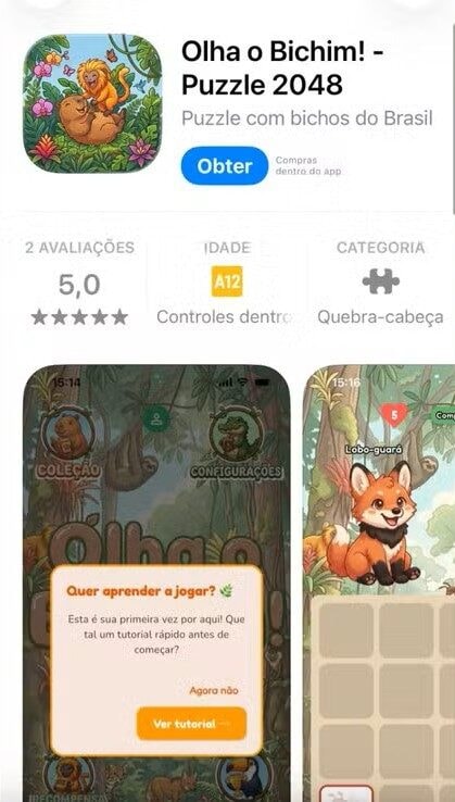 Casal do Acre cria jogo inspirado na fauna brasileira para estimular aprendizado pelo celular