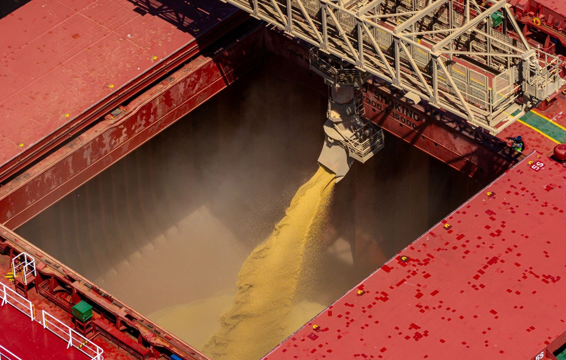 PIB da cadeia de soja e biodiesel deve avançar 6,87% em 2026, aponta estudo
