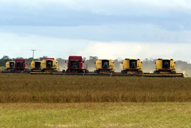 China importa mais soja, mas atraso do Brasil frustra expectativa
