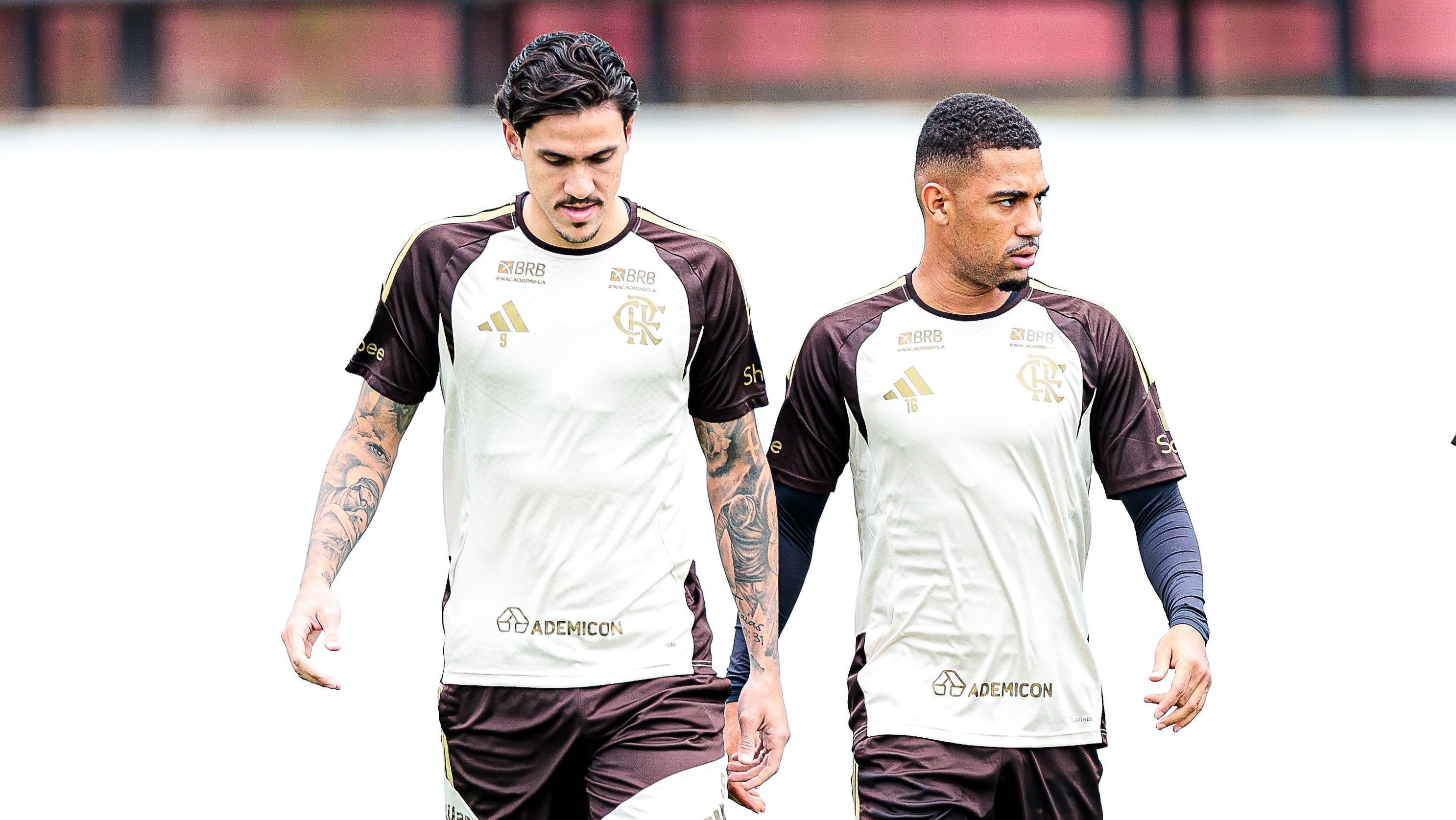 Palmeiras recebe cinco reforços em preparação para jogo contra o Bahia