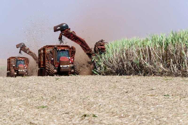 Governo autoriza subvenção para produtores de cana-de-açúcar do Nordeste