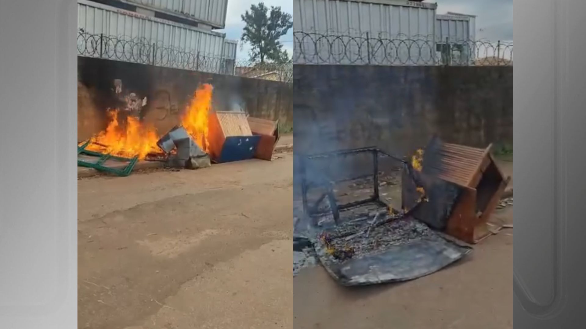 Vídeo: Motorista é preso em aeroporto após atropelar cães em Manaus
