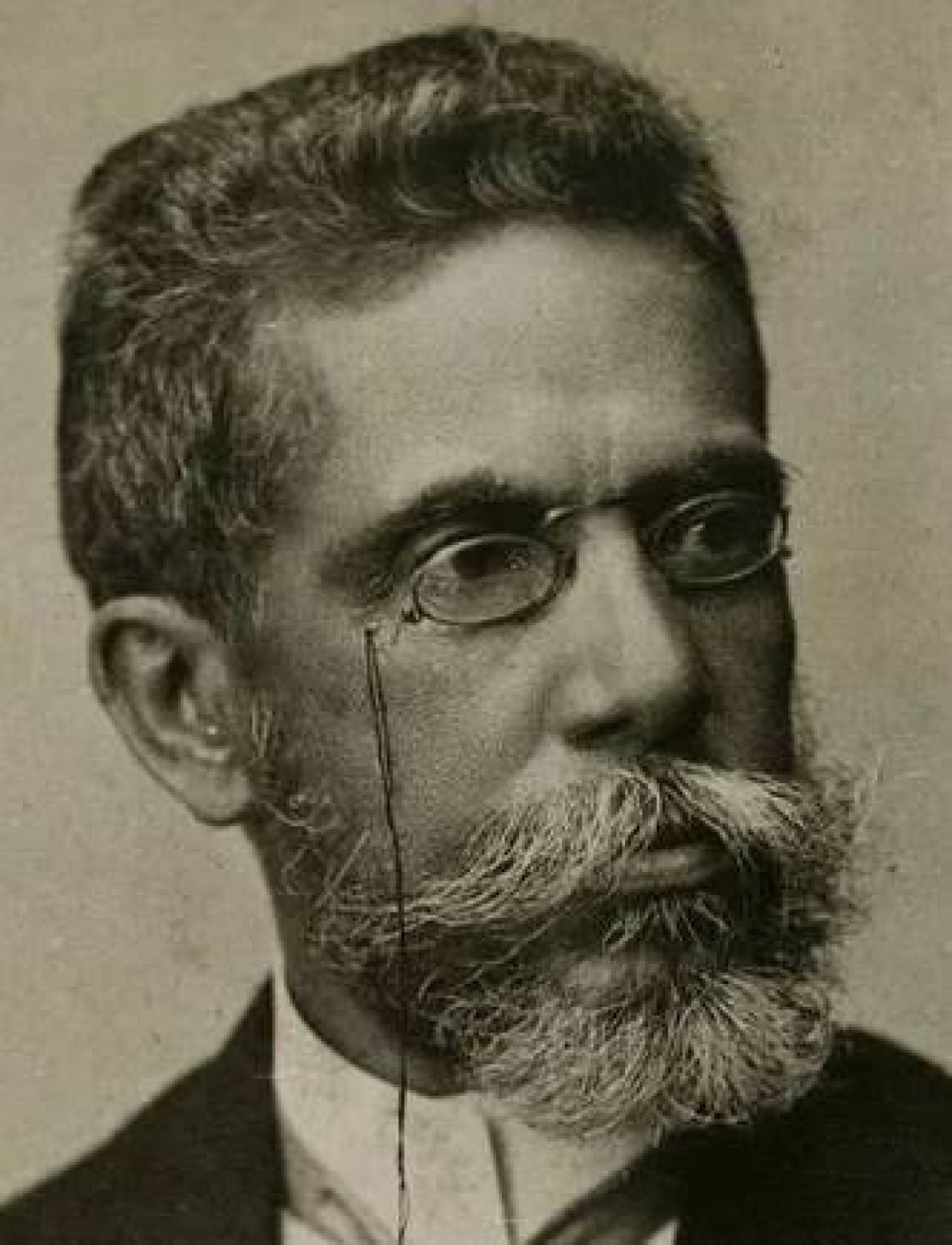 Quando o Presidente argentino aparece a Machado de Assis (Odylo Costa)