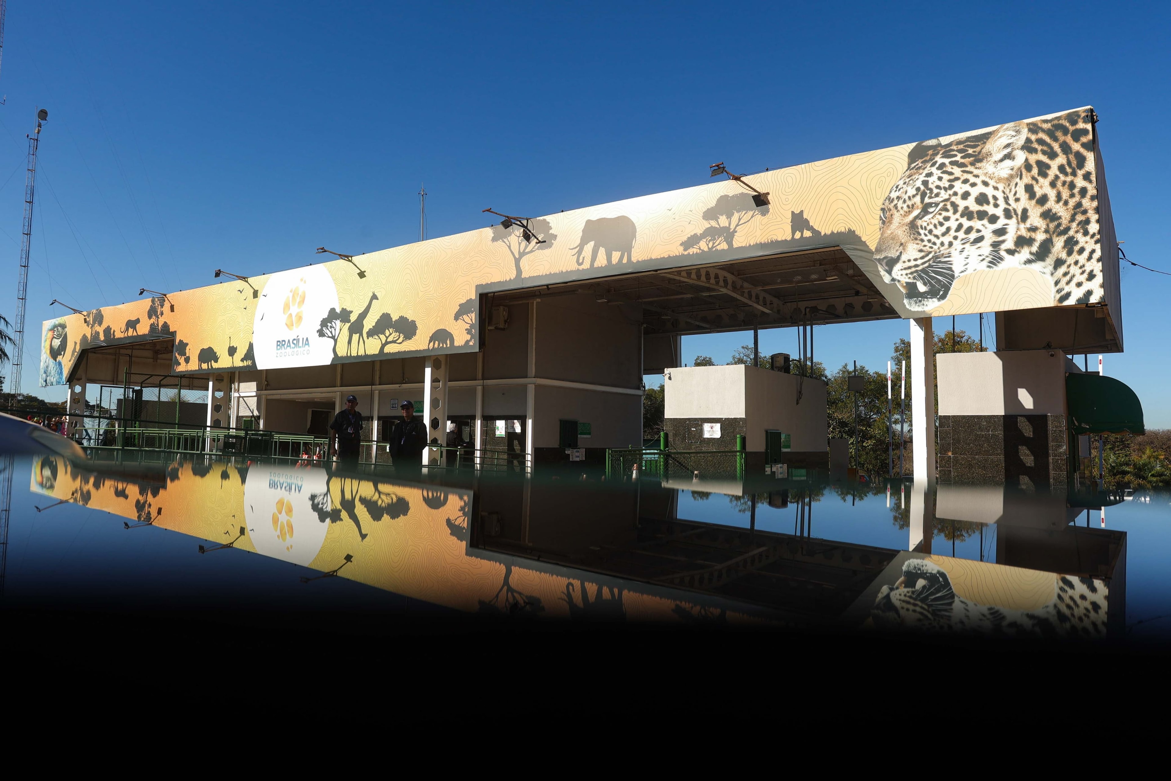 Zoológico de Brasília estará fechado ao público no domingo de eleições