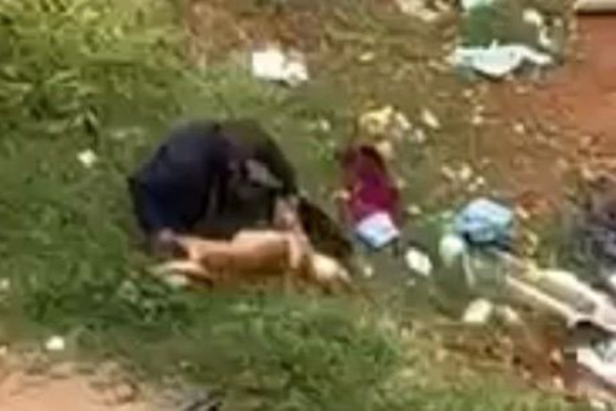 Casal é filmado tirando corpo de cachorro de carro e abandonando no lixo