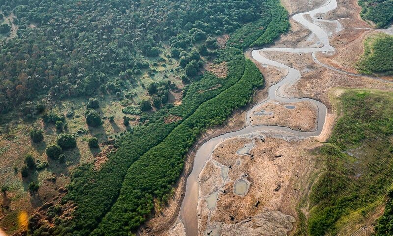 El Niño: IIAP utiliza drones, bioinsumos e DNA ambiental para reduzir riscos em florestas no Peru