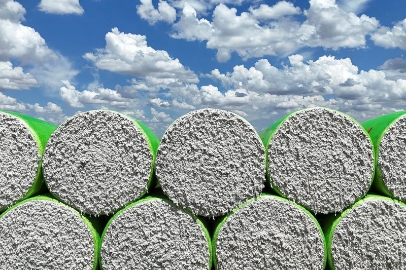 Mercado externo impulsiona alta de 4,33% no algodão em pluma no Brasil