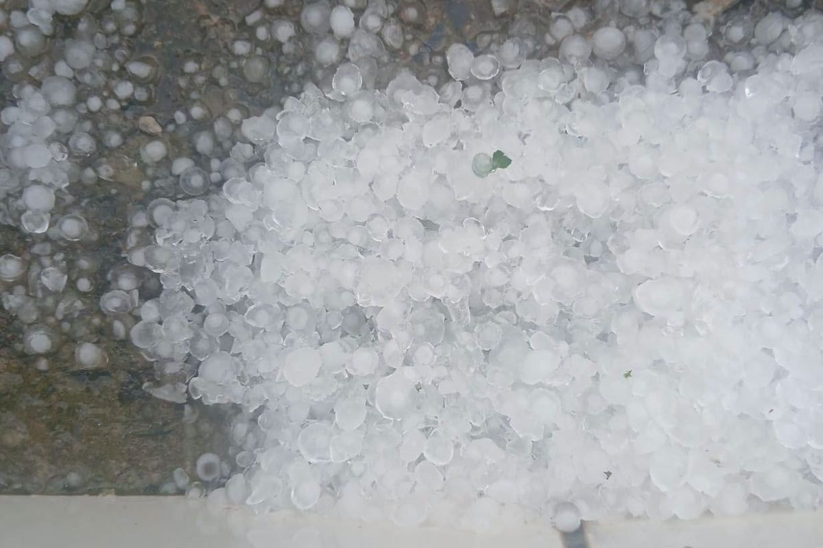 467 cidades de MG estão sob alerta de tempestade nesta quarta (9/9); veja