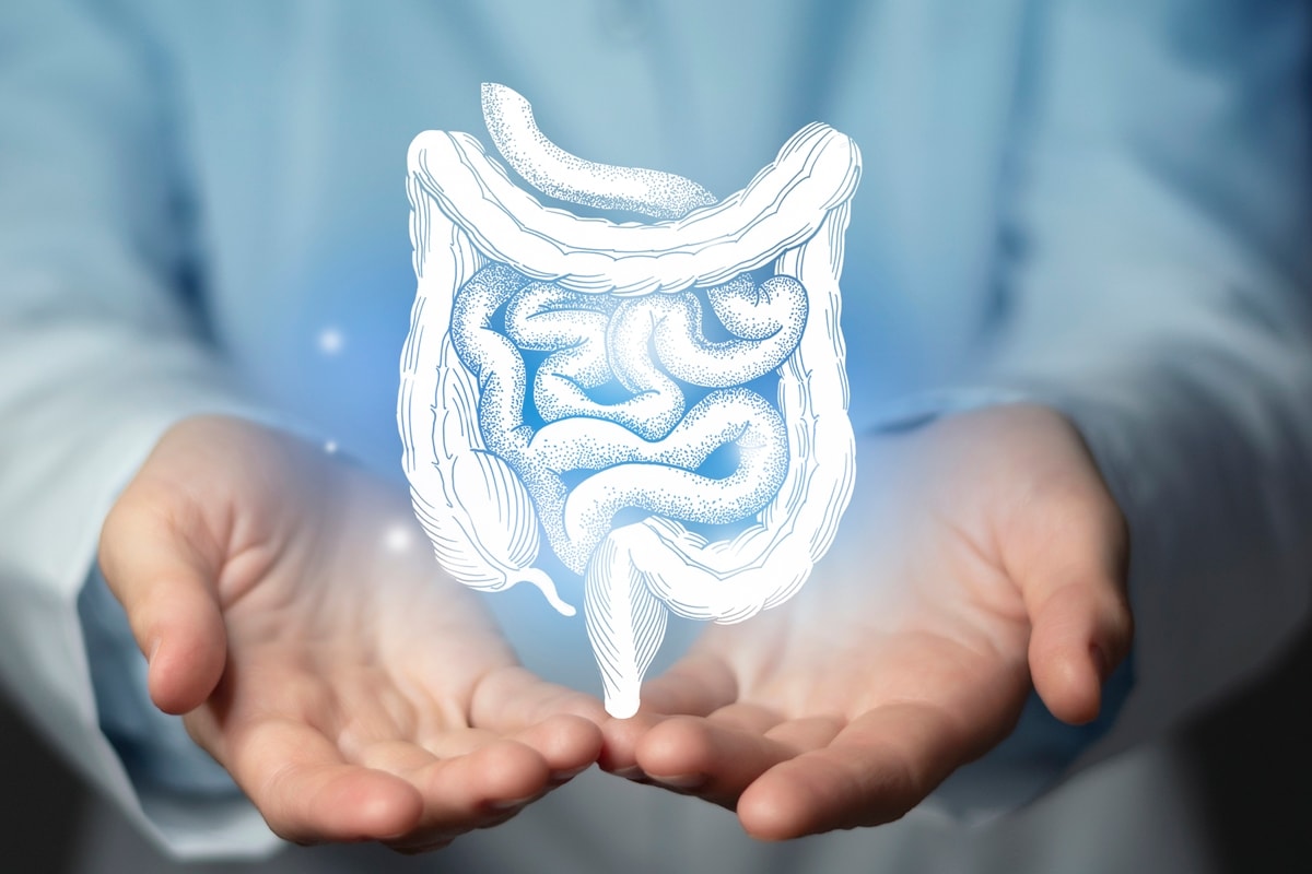 Médica cita tempo para o intestino se recuperar após consumo de álcool