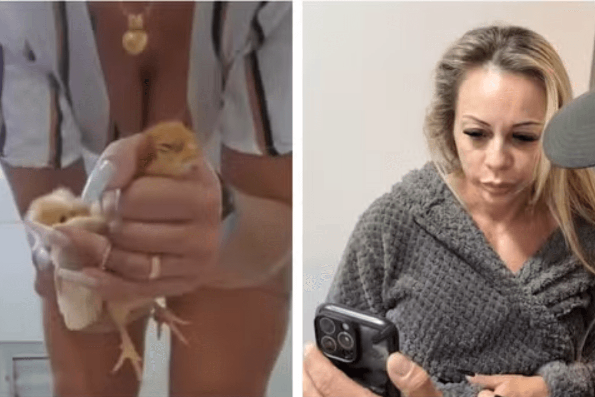 Mulher que matava animais foi poupada de multa recém-endurecida em SP