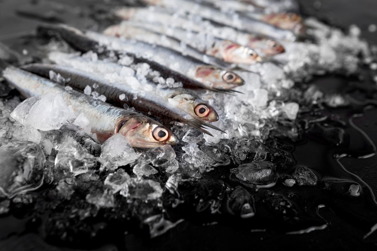 2 peixes baratos e muito saudáveis para colocar na dieta, segundo nutri
