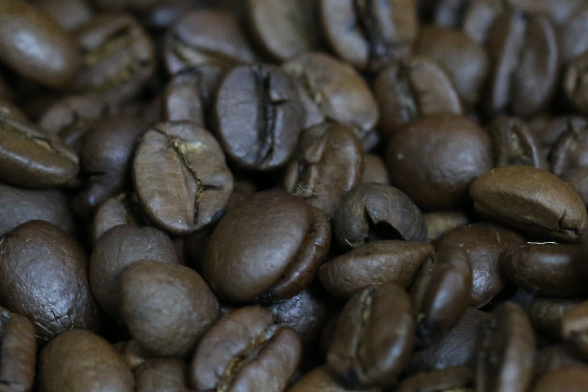 USDA prevê safra recorde de café no Brasil e aumento de 30% nas exportações