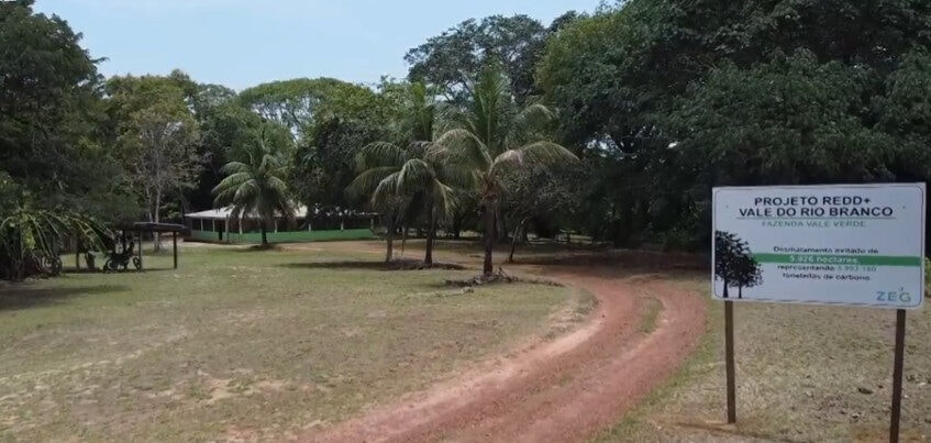 Projeto de créditos de carbono protege animais e evita desmatamento na Amazônia