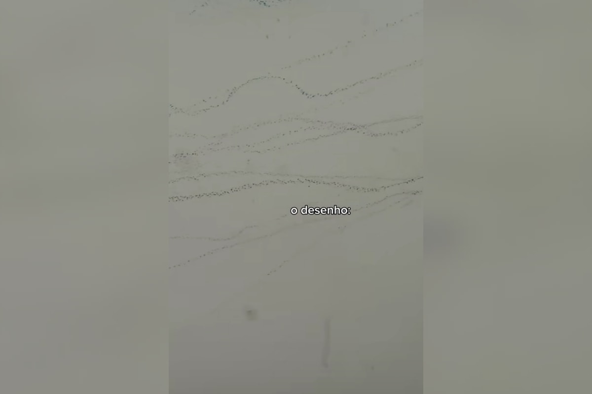 Mãe de menino que desenhou tubarão gigante revela reação do pai