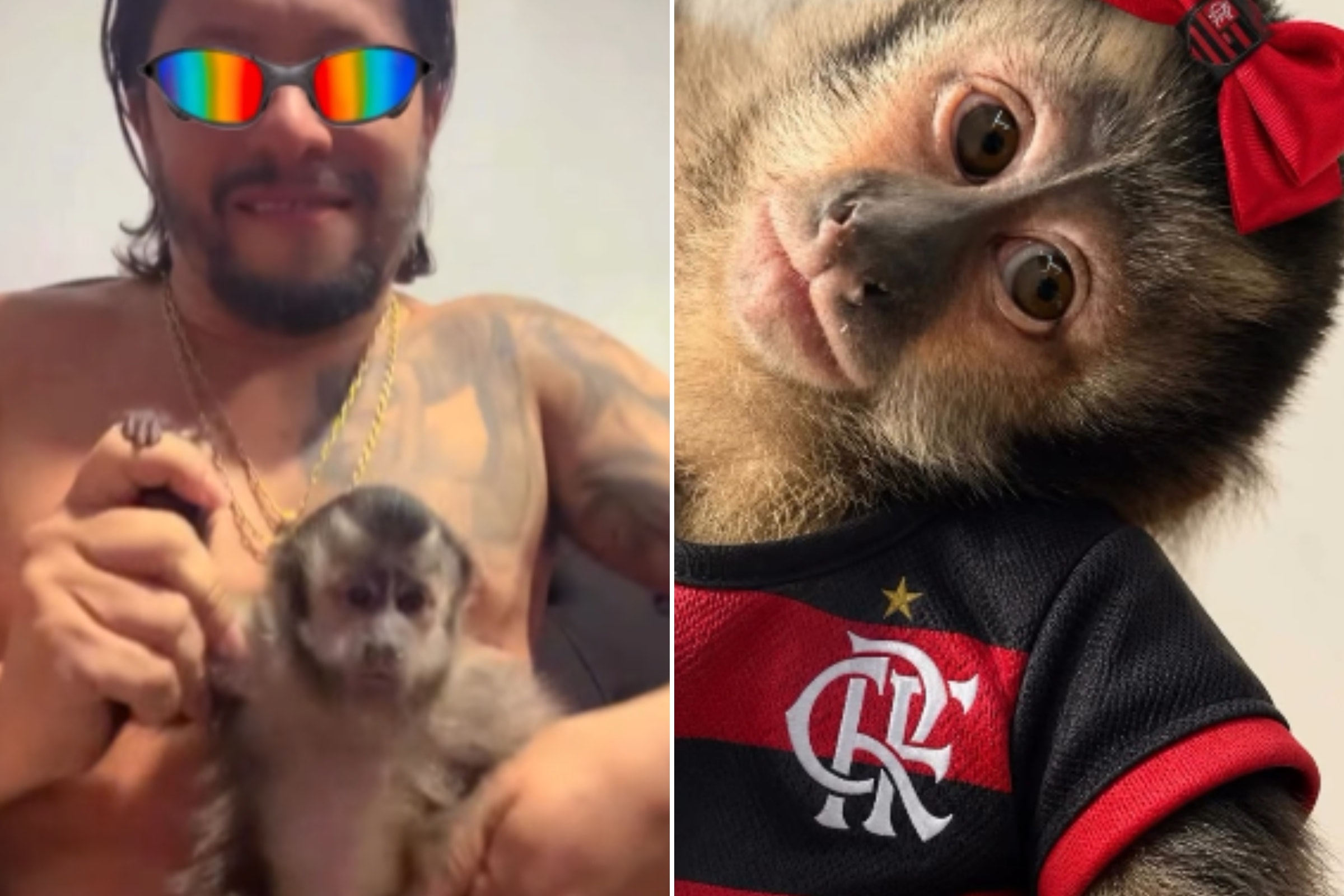 Preso no Maracanã, chefão do CV exibia rotina com "Macaca Chorona". Veja vídeo