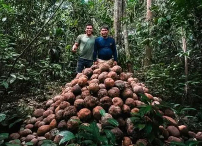 Mineração ilegal ameaça atividades sustentáveis de famílias na região Madre de Dios, na Amazônia peruana