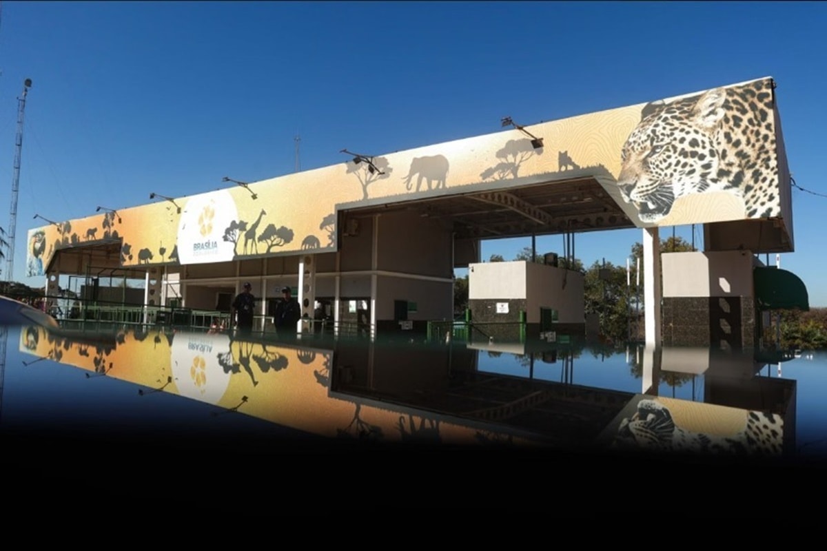 Criança de 5 anos é atacada por escorpião no Zoológico de Brasília