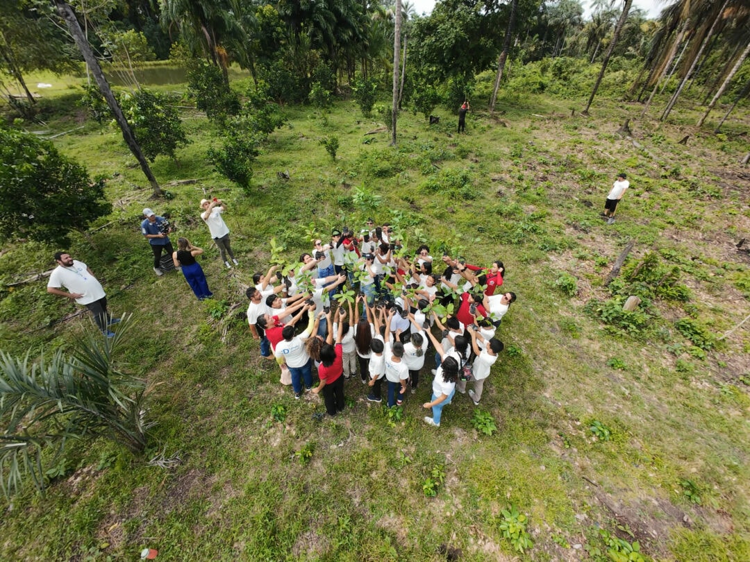 Dia da Árvore: ações na Amazônia somam mais de 600 árvores plantadas e 1,5 mil m² de áreas recuperadas