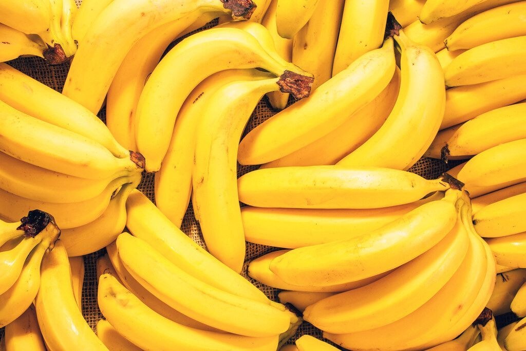Do xampu para a soja: rei da babosa amplia negócio com biofertilizante