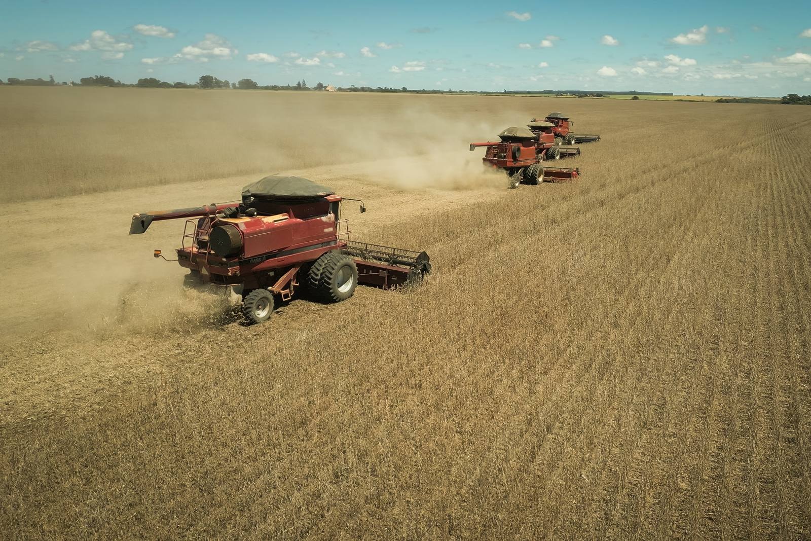 Recorde: IBGE eleva previsão de safra para 348,4 milhões de toneladas