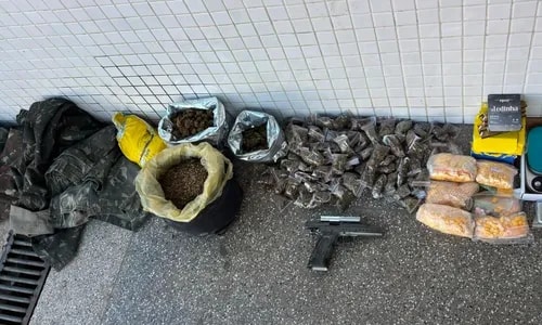Mulher é presa com 10 kg de maconha em operação policial em Salvador