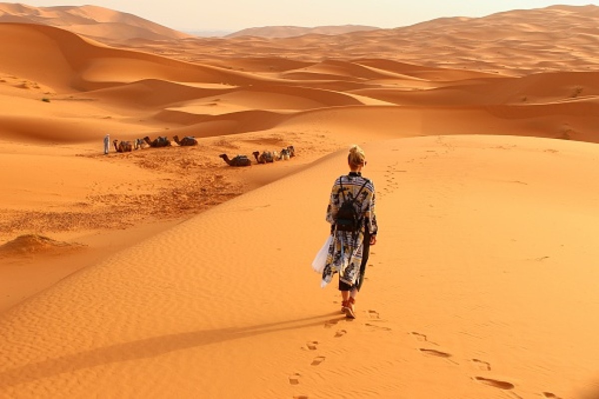 Loyola e o deserto bolsonarista