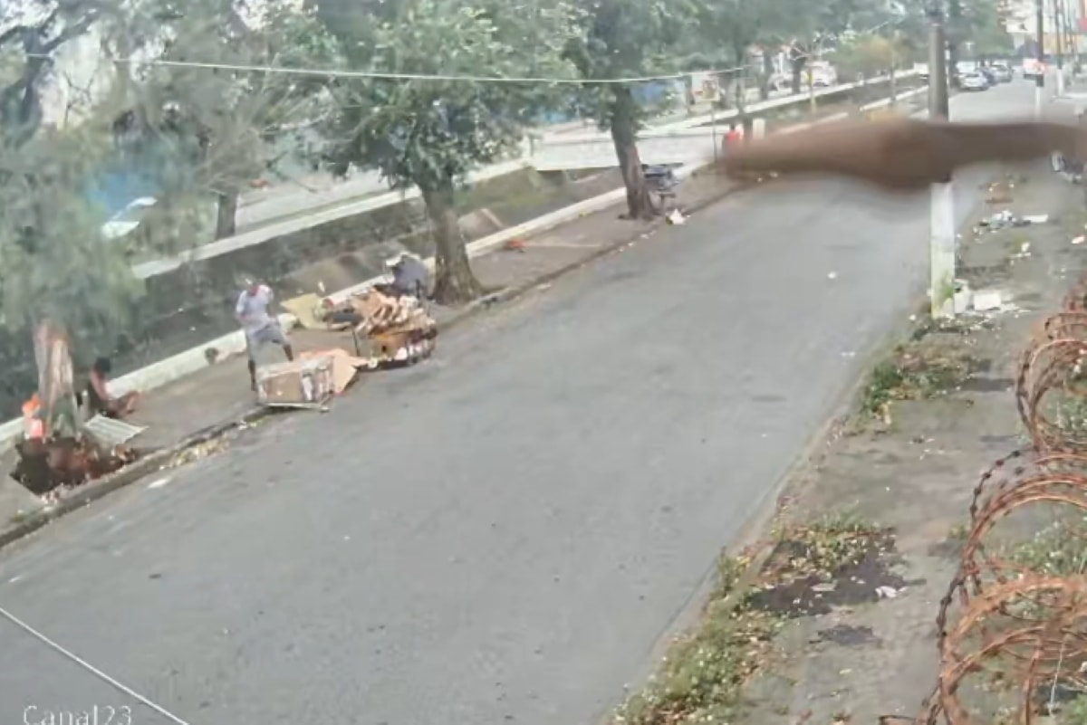 Veja momento em que árvore cai e mata homem em SP