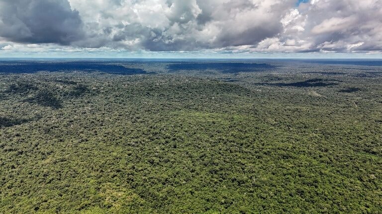 Chamada pública ‘Florestas e Comunidades: Amazônia Viva’ divulga resultado final