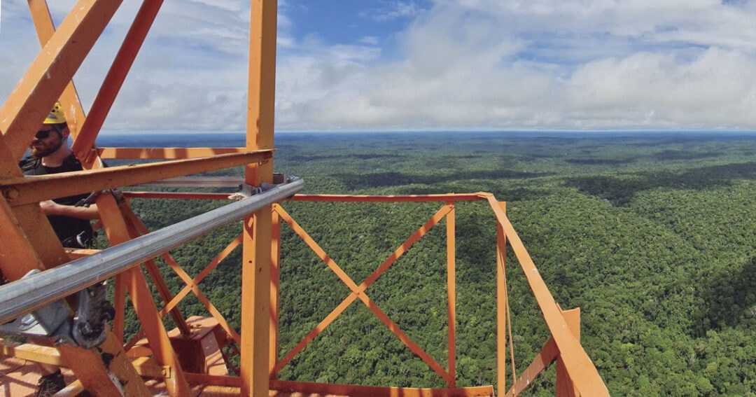 Nevoeiro da Amazônia transporta e abriga microrganismos, mostra estudo