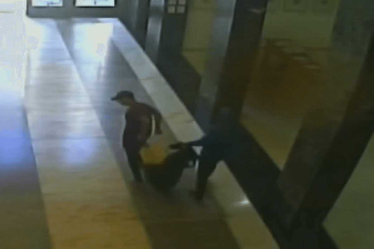 Suspeita recebeu Pix de leiloeiro antes de roubo na Mário de Andrade
