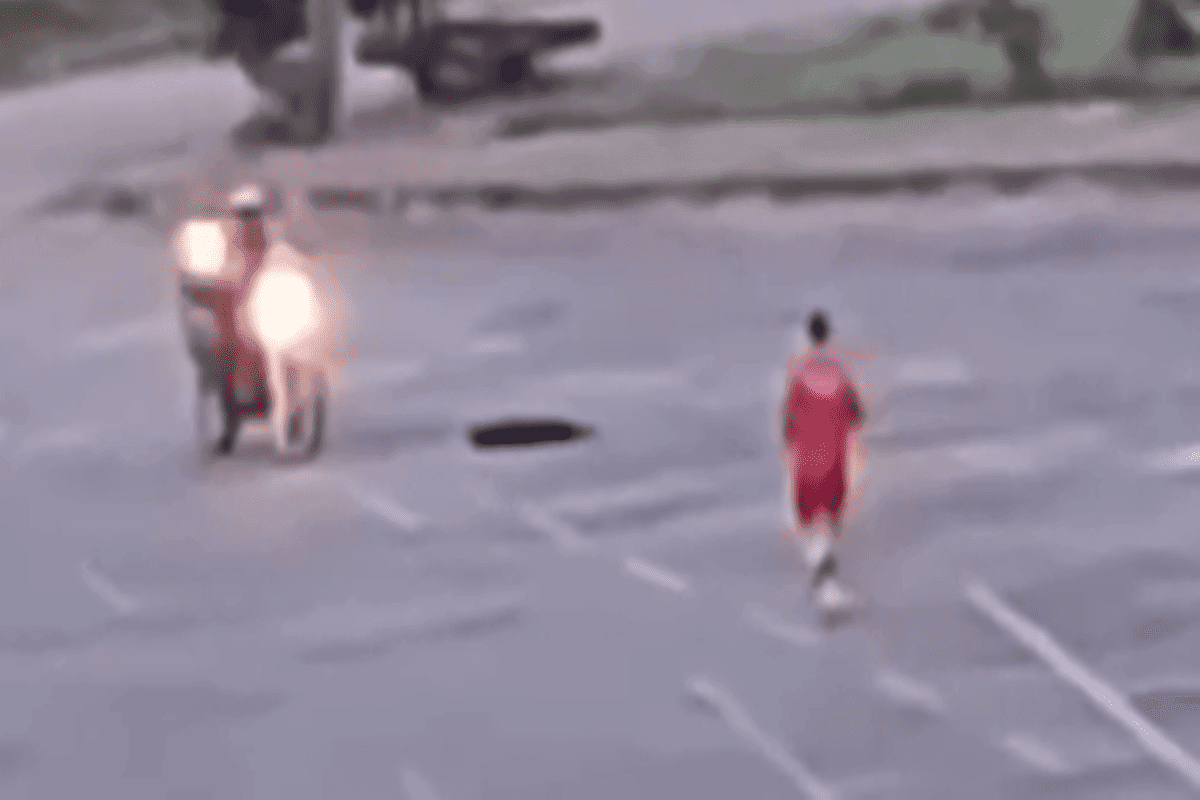 Corpo de Bombeiros afasta militar que matou cachorro com tiro em GO