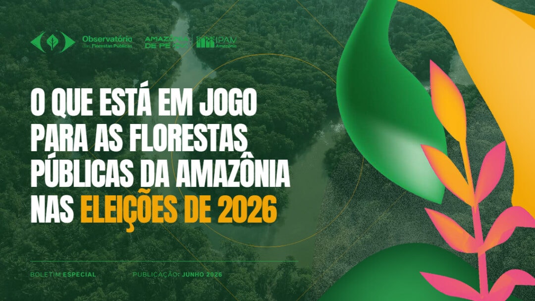 Ano eleitoral acende alerta sobre florestas públicas não destinadas da Amazônia
