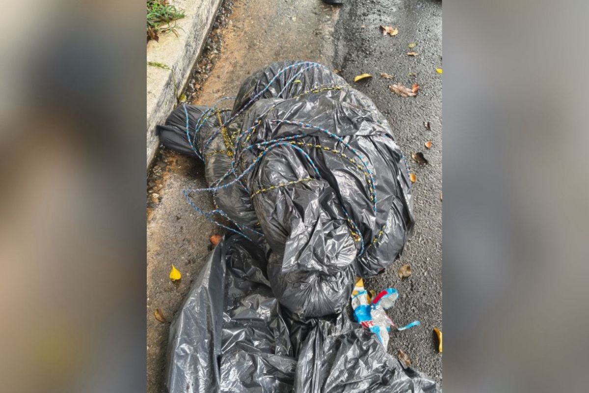Polícia Civil prende 3 suspeitos por corpos encontrados dentro de sacos