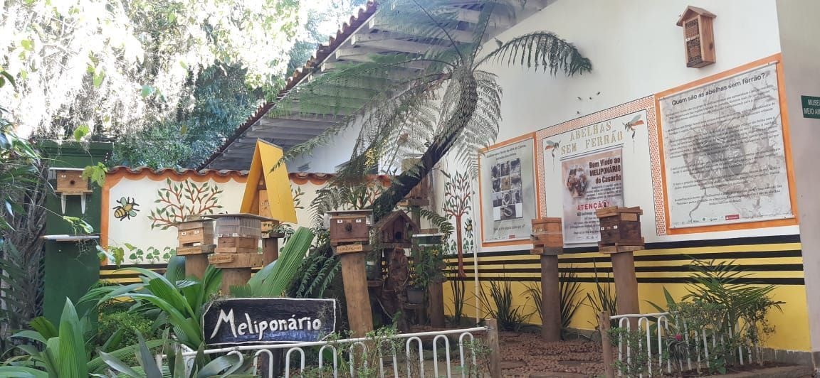 Produtores rurais podem receber até R$ 36 mil por serviços ambientais