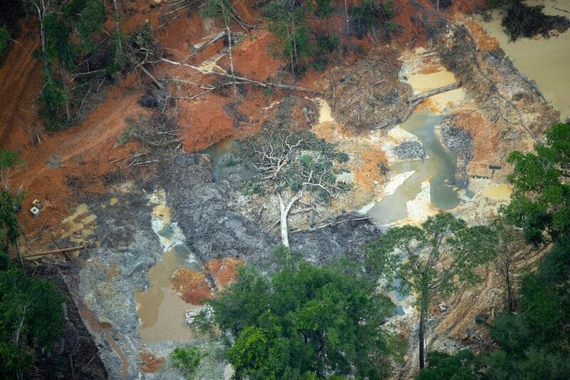 Área desmatada para garimpo ilegal cresce até 660% em áreas protegidas na bacia do Rio Juruena em Mato Grosso