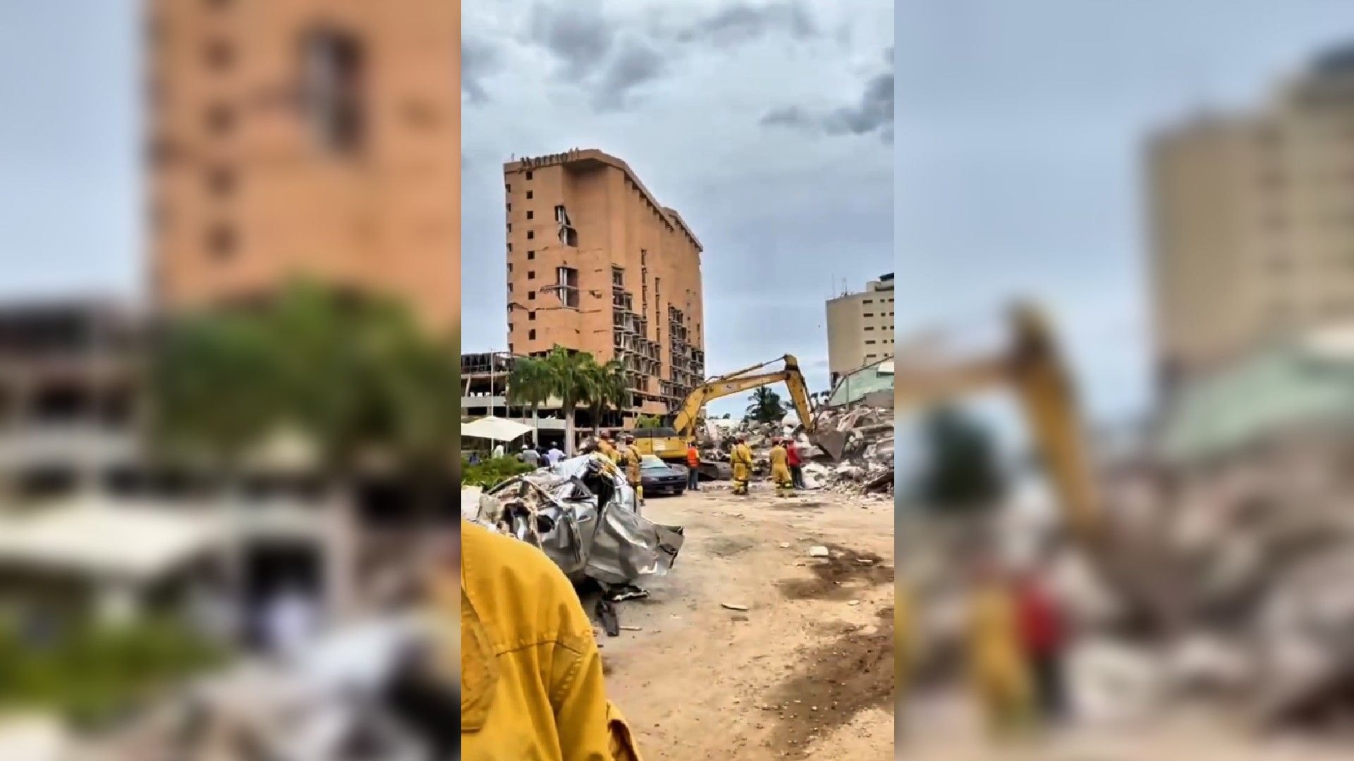 Bombeiros da Venezuela resgatam papagaio em escombros dos terremotos