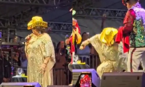 Alcione sofre queda em palco durante apresentação; assista