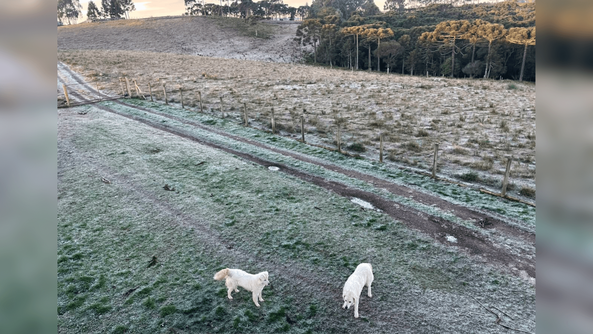 Previsão do tempo: Veja como fica o clima no último fim de semana de junho