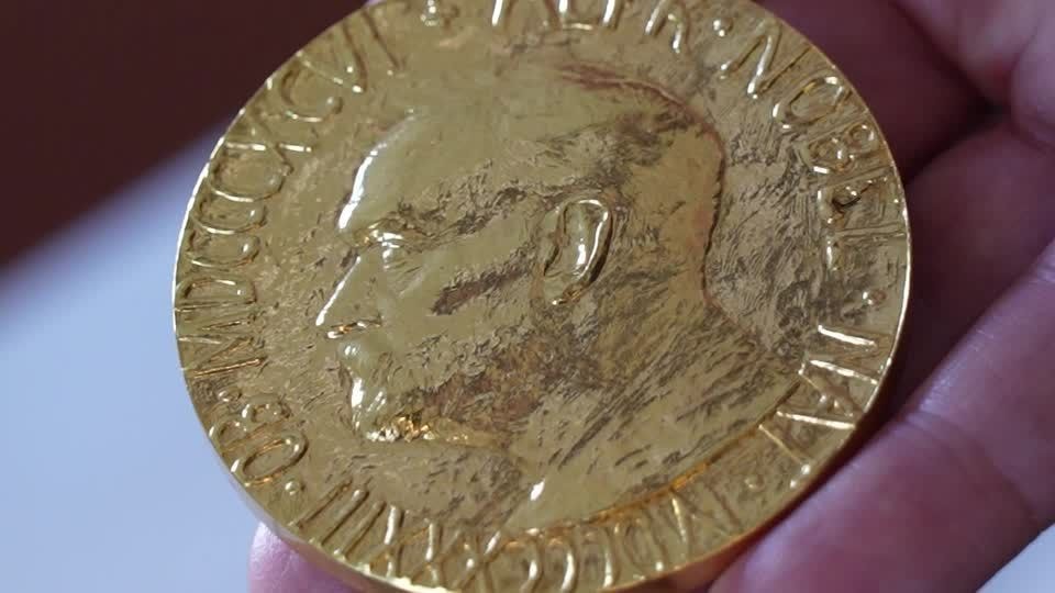 Juíza sul-africana Navi Pillay vence Nobel da Paz 2026