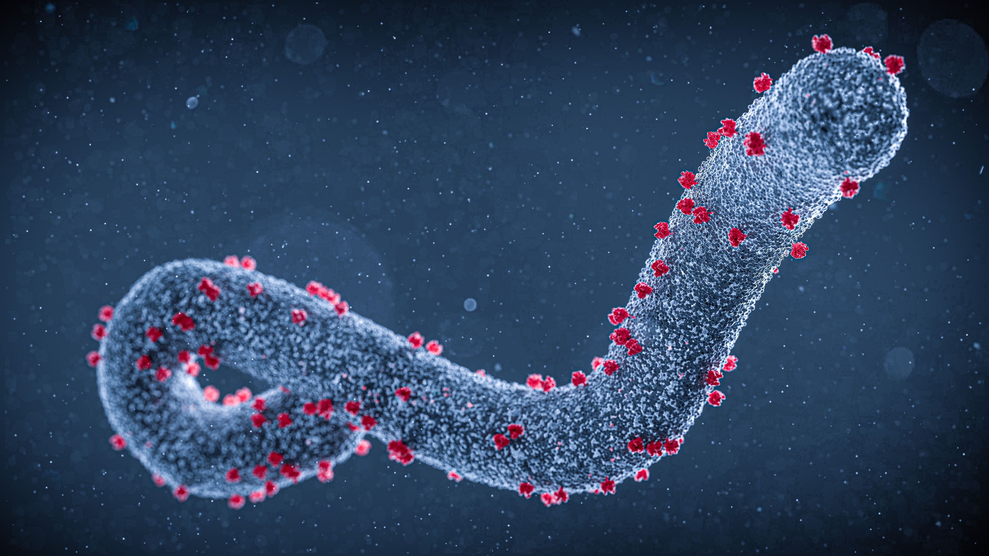 Quem é o médico americano que testou positivo para Ebola na RD Congo?